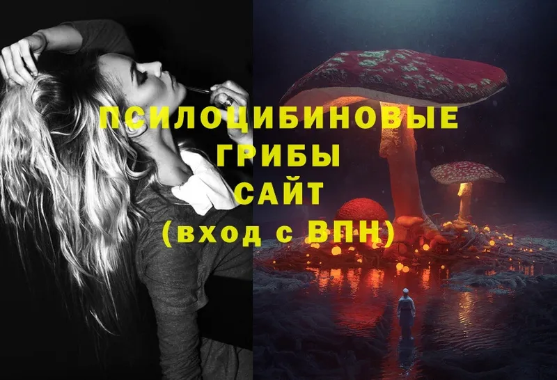 Псилоцибиновые грибы Psilocybe Армянск